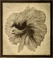 An illustration from Astronomy for the use of schools and academies (1882)