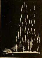 An illustration from Astronomy for the use of schools and academies (1882)