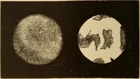 An illustration from Astronomy for the use of schools and academies (1882)