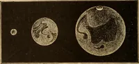 An illustration from Astronomy for the use of schools and academies (1882)