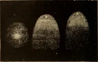 An illustration from Astronomy for the use of schools and academies (1882)