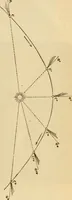 An illustration from Astronomy for the use of schools and academies (1882)