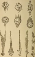 An illustration from Astronomy for the use of schools and academies (1882)
