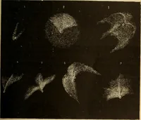 An illustration from Astronomy for the use of schools and academies (1882)