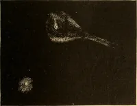 An illustration from Astronomy for the use of schools and academies (1882)