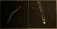 An illustration from Astronomy for the use of schools and academies (1882)