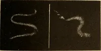 An illustration from Astronomy for the use of schools and academies (1882)