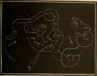 An illustration from Astronomy for the use of schools and academies (1882)