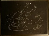 Picture 370 of 429 from Astronomy for the use of schools and academies (1882), leaf 372
