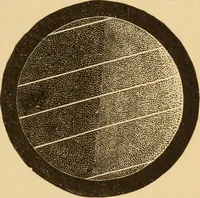 An illustration from Astronomy for the use of schools and academies (1882)