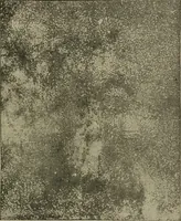 Picture 70 of 70 from Astronomy, a handy manual for students and others (1918), leaf 252