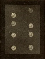 Picture 32 of 35 from Astronomy in a nutshell, the chief facts and principles explained in popular language for the general reader and for schools (1912), leaf 256