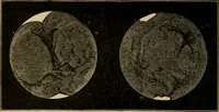 An illustration from Astronomy, new and old (1889)