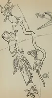 An illustration from The astronomy of the Bible : an elementary commentary on the astronomical references of Holy Scripture (1909)