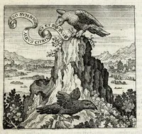 Picture 26 of 30 from Atalanta fugiens, hoc est, Emblemata nova de secretis naturae chymica : accomodata partim oculis & intellectui, figuris cupro incisis, adjectisque sententiis, epigrammatis & notis, partim auribus & recreationi animi plus minus 50 fugis musicalibus trium vocum, quarum duae ad unam simplicem melodiam distichis canendis peraptam, correspondeant, non abs[que] singulari jucunditate videnda, legenda, meditanda, intelligenda, dijudicanda, canenda & audienda (1618), leaf 189