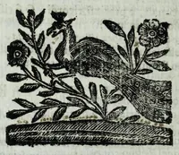 Picture 7 of 7 from Ateneo dei letterati milanesi (1670), leaf 550