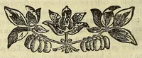 Picture 5 of 17 from Athanasii Kircheri e Soc. Iesu Itinerarium exstaticum : quo mundi opificium id est cœlestis expansi, siderumque tam errantium, quàm fixorum natura, vires, proprietates, singulorumque compositio & structura, ab infimo telluris globo, vsque ad vltima mundi confinia, per ficti raptus integumentum explorata, noua hypothesi exponitur ad veritatem interlocutoribus Cosmiele et Theodidacto ad . (1656), leaf 100