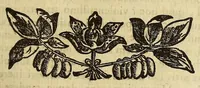 An illustration from Athanasii Kircheri e Soc. Iesu Itinerarium exstaticum : quo mundi opificium id est cœlestis expansi, siderumque tam errantium, quàm fixorum natura, vires, proprietates, singulorumque compositio & structura, ab infimo telluris globo, vsque ad vltima mundi confinia, per ficti raptus integumentum explorata, noua hypothesi exponitur ad veritatem interlocutoribus Cosmiele et Theodidacto ad . (1656)