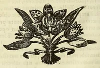 Picture 7 of 17 from Athanasii Kircheri e Soc. Iesu Itinerarium exstaticum : quo mundi opificium id est cœlestis expansi, siderumque tam errantium, quàm fixorum natura, vires, proprietates, singulorumque compositio & structura, ab infimo telluris globo, vsque ad vltima mundi confinia, per ficti raptus integumentum explorata, noua hypothesi exponitur ad veritatem interlocutoribus Cosmiele et Theodidacto ad . (1656), leaf 300
