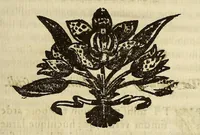 An illustration from Athanasii Kircheri e Soc. Iesu Itinerarium exstaticum : quo mundi opificium id est cœlestis expansi, siderumque tam errantium, quàm fixorum natura, vires, proprietates, singulorumque compositio & structura, ab infimo telluris globo, vsque ad vltima mundi confinia, per ficti raptus integumentum explorata, noua hypothesi exponitur ad veritatem interlocutoribus Cosmiele et Theodidacto ad . (1656)