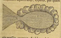 An illustration from Athanasii Kircheri e Soc. Jesu Mundus subterraneus, : in XII libros digestus; quo divinum subterrestris mundi opificium, mira ergasteriorum naturae in eo distributio, verbo [Pantamorphon] protei regnum, uniuersae denique naturae majestas & divitiae summa rerum varietate exponuntur, abditorum effectuum causae acri indagine inquisitae demonstrantur, cognitae per artis & naturae conjugium ad humanae vitae necessarium usum vario experimentorum apparatu, necnon novo modo & ratione applicantur (1678)