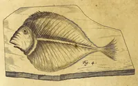 An illustration from Athanasii Kircheri e Soc. Jesu Mundus subterraneus, : in XII libros digestus; quo divinum subterrestris mundi opificium, mira ergasteriorum naturae in eo distributio, verbo [Pantamorphon] protei regnum, uniuersae denique naturae majestas & divitiae summa rerum varietate exponuntur, abditorum effectuum causae acri indagine inquisitae demonstrantur, cognitae per artis & naturae conjugium ad humanae vitae necessarium usum vario experimentorum apparatu, necnon novo modo & ratione applicantur (1678)