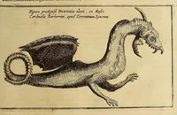 An illustration from Athanasii Kircheri e Soc. Jesu Mundus subterraneus, : in XII libros digestus; quo divinum subterrestris mundi opificium, mira ergasteriorum naturae in eo distributio, verbo [Pantamorphon] protei regnum, uniuersae denique naturae majestas & divitiae summa rerum varietate exponuntur, abditorum effectuum causae acri indagine inquisitae demonstrantur, cognitae per artis & naturae conjugium ad humanae vitae necessarium usum vario experimentorum apparatu, necnon novo modo & ratione applicantur (1678)