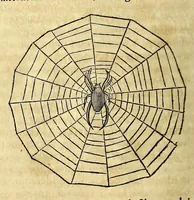 An illustration from Athanasii Kircheri e Soc. Jesu Mundus subterraneus, : in XII libros digestus; quo divinum subterrestris mundi opificium, mira ergasteriorum naturae in eo distributio, verbo [Pantamorphon] protei regnum, uniuersae denique naturae majestas & divitiae summa rerum varietate exponuntur, abditorum effectuum causae acri indagine inquisitae demonstrantur, cognitae per artis & naturae conjugium ad humanae vitae necessarium usum vario experimentorum apparatu, necnon novo modo & ratione applicantur (1678)