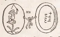 Picture 16 of 28 from Athanasij Kircheri e Societate Iesu Arithmologia, siue, De abditis numerorum mysterijs : qua origo, antiquitas & fabrica numerorum exponitur : abditae eorundem proprietates demonstrantur : fontes superstitionum in amuletorum fabrica aperiuntur : denique post cabalistarum, Arabum, gnosticorum, aliorumque magicas impietates detectas, vera & licita numerorum mystica significatio ostenditur (1665), leaf 231