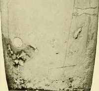 An illustration from Athenian lekythoi : with outline drawing in matt color on a white ground : appendix: additional lekythoi with outline drawing in glaze varnish on a white ground (1914)