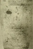 Picture 38 of 111 from Athenian lekythoi : with outline drawing in matt color on a white ground : appendix: additional lekythoi with outline drawing in glaze varnish on a white ground (1914), leaf 318