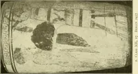 An illustration from Athenian lekythoi : with outline drawing in matt color on a white ground : appendix: additional lekythoi with outline drawing in glaze varnish on a white ground (1914)
