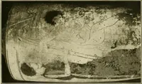 An illustration from Athenian lekythoi : with outline drawing in matt color on a white ground : appendix: additional lekythoi with outline drawing in glaze varnish on a white ground (1914)