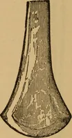 An illustration from Athletics and manly sport (1890)