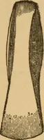 An illustration from Athletics and manly sport (1890)