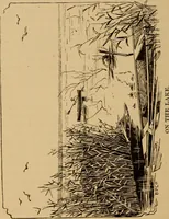 An illustration from Athletics and manly sport (1890)