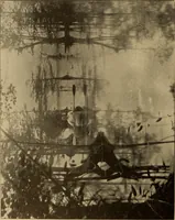 Picture 62 of 69 from Athletics and manly sport (1890), leaf 449