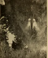 An illustration from Athletics and manly sport (1890)