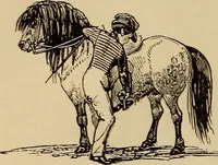 An illustration from Athletic sports and recreations for boys.. (1861)