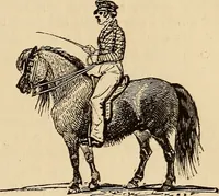 An illustration from Athletic sports and recreations for boys.. (1861)