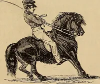 An illustration from Athletic sports and recreations for boys.. (1861)