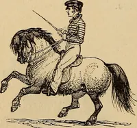 An illustration from Athletic sports and recreations for boys.. (1861)