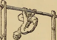 An illustration from Athletic sports and recreations for boys.. (1861)