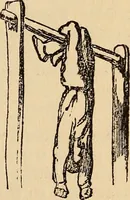 An illustration from Athletic sports and recreations for boys.. (1861)