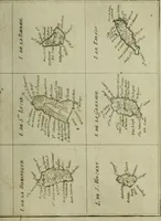 An illustration from Atlas de toutes les parties connues du globe terrestre : dressé pour l'Histoire philosophique et politique des établissemens et du commerce des Européens dans les deux Indes (1780)