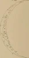 An illustration from An atlas of astronomy; a series of seventy-two plates, with introduction and index (1892)