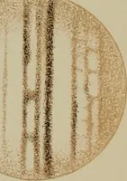 An illustration from An atlas of astronomy; a series of seventy-two plates, with introduction and index (1892)