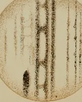 Picture 17 of 83 from An atlas of astronomy; a series of seventy-two plates, with introduction and index (1892), leaf 90