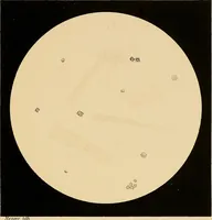 An illustration from An atlas of clinical microscopy (1885)