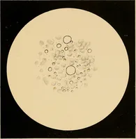 An illustration from An atlas of clinical microscopy (1885)
